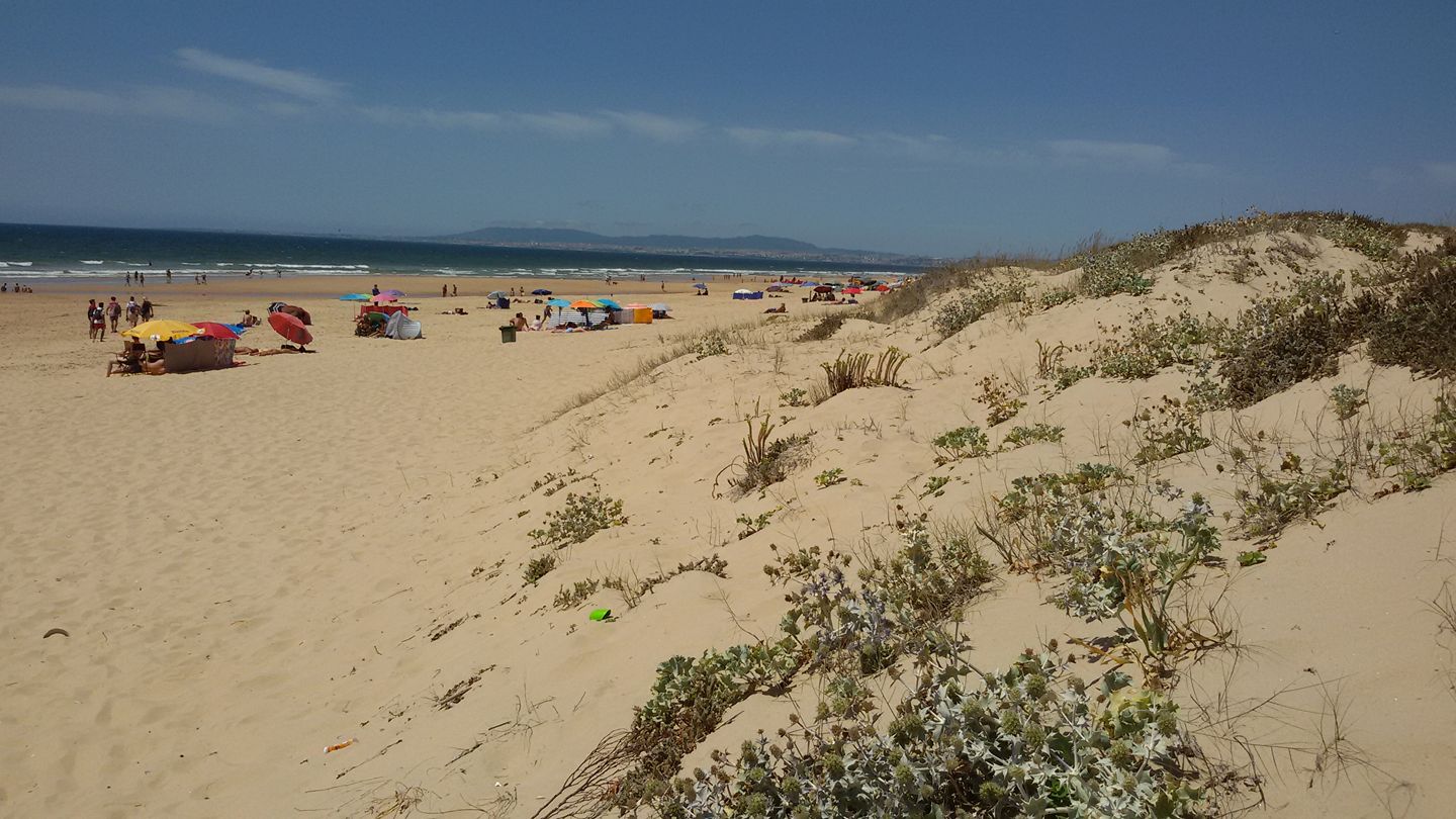 Caparica beach